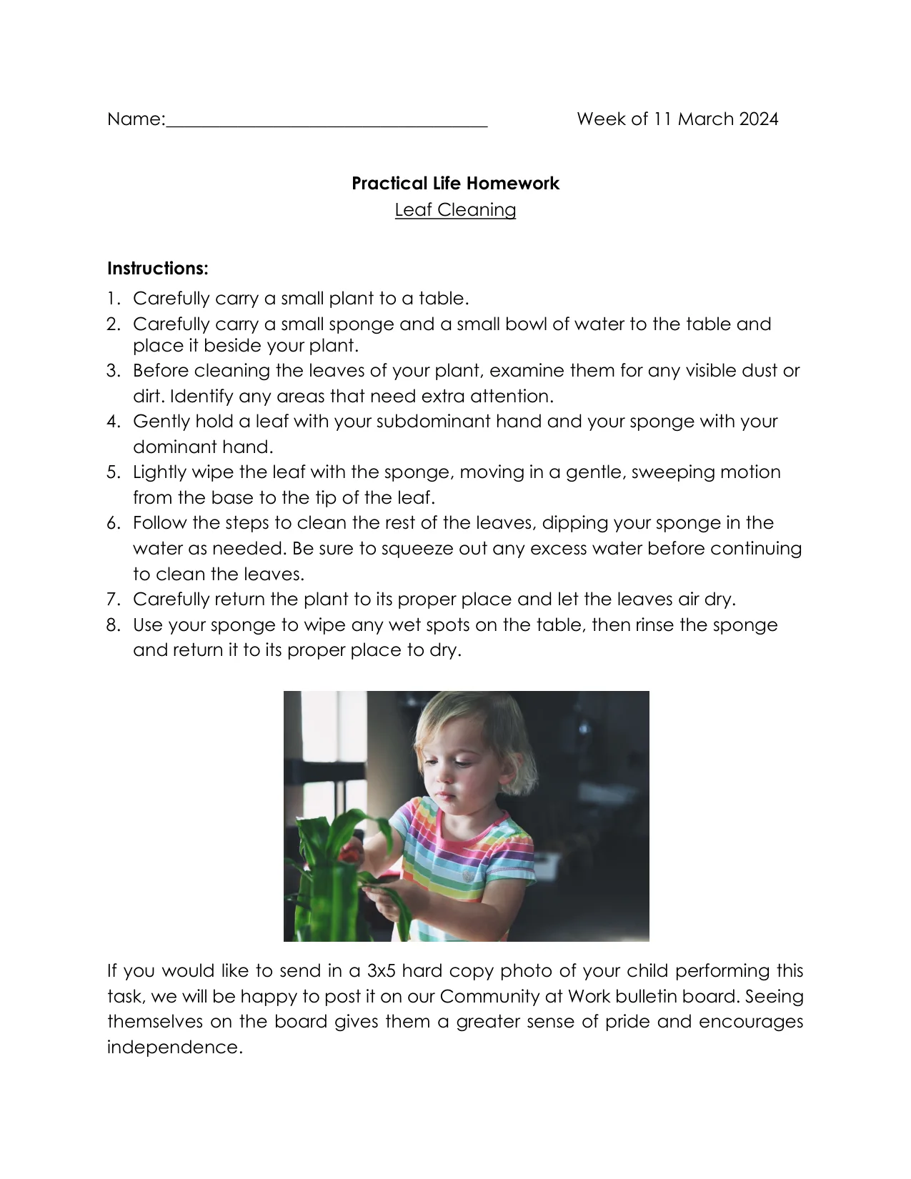 Practical Life 3-15 page 1